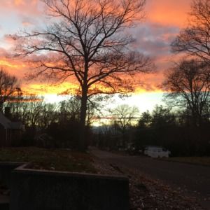 Meet your Posher, Trisha